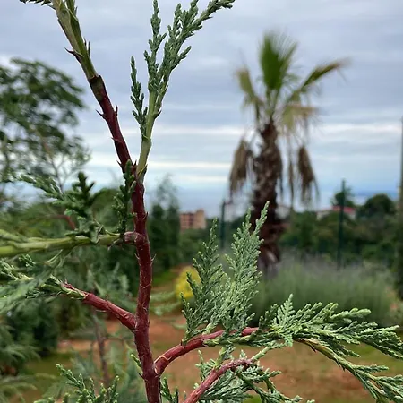 Ganita Travel Cabaña/Bungalow